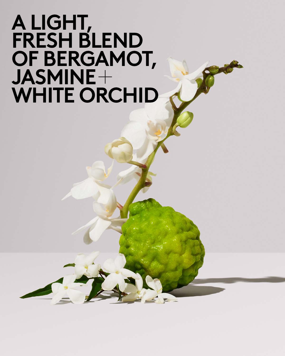 Butta Drop Hydrating Body Milk - Salted Caramel - Image 6